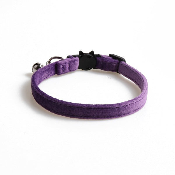 Purple Collar