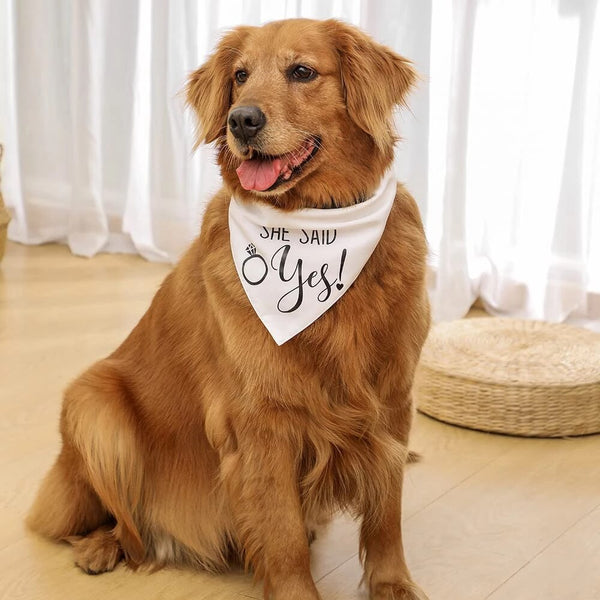 Wedding bandanas