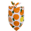 Fruity Bandanas