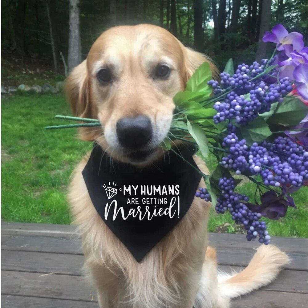 Wedding bandanas