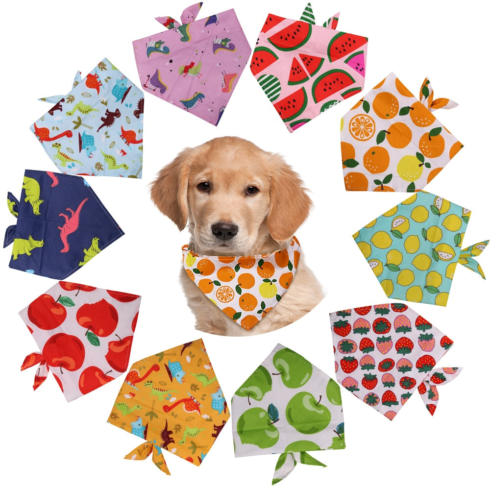 Fruity Bandanas