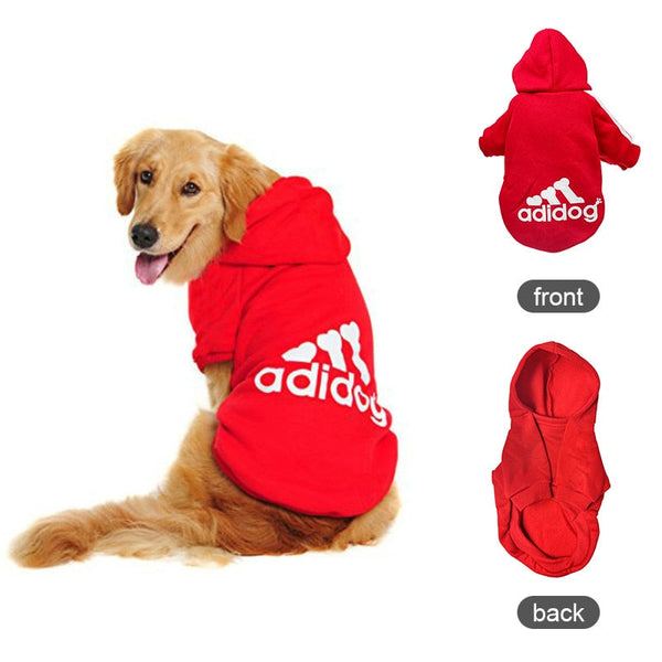 Dog hoodie