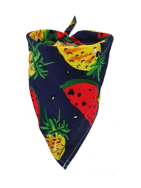 Watermelon & Pineapple Bandana