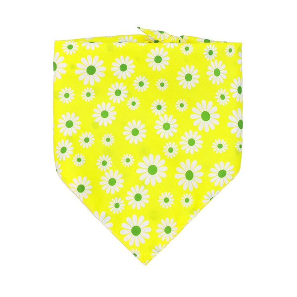 Chrysanthemum Bandana