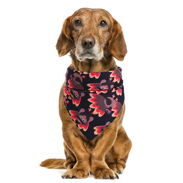 Fall bandana