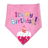 Pet Girl Boy Birthday Bandana and Hat