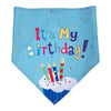 Pet Girl Boy Birthday Bandana and Hat