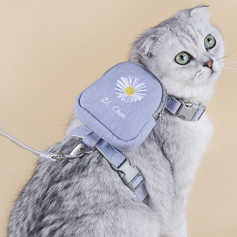 Backpack with Harness