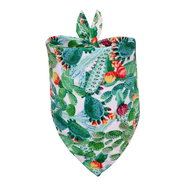 Cactus Bandana