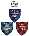 NONOR Birthday bandanas